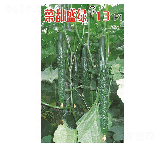 菜都盛綠13-黃瓜種子-菜都萬(wàn)盛