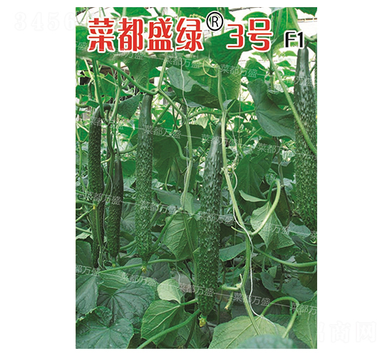 菜都盛綠3號(hào)-黃瓜種子-菜都萬盛