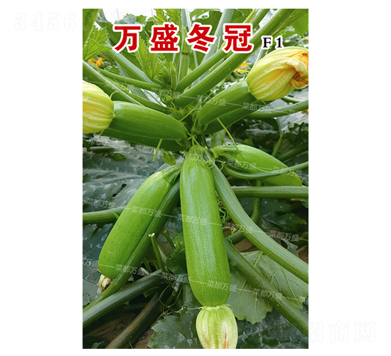 �f(w��n)ʢ����-�����J�N��-�˶��f(w��n)ʢ