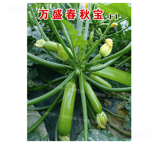 �f(w��n)ʢ���-�����J�N��-�˶��f(w��n)ʢ