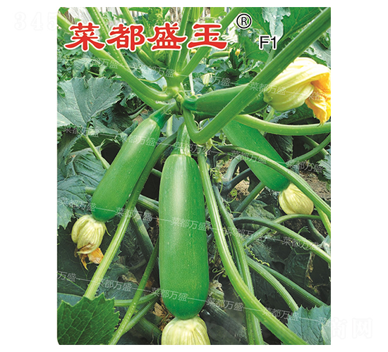 �˶�ʢ��-�����J�N��-�˶��f(w��n)ʢ