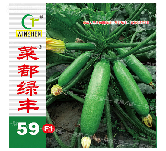 �˶��G�S59-�����J�N��-�˶��fʢ