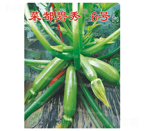 �˶�����6̖-�����J�N��-�˶��fʢ