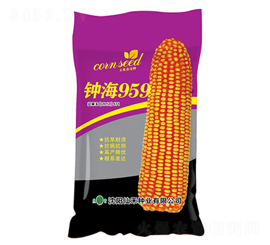 鐘海959（紫袋）-玉米種子-仙禾種業(yè)