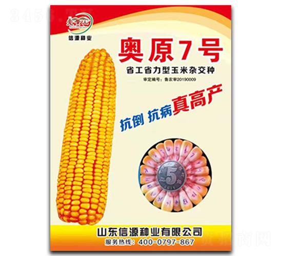 奧原7號(hào)-玉米種子-信源種業(yè)
