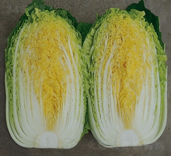 ��Ļ��254-�ײ˷N��-��Ļ��