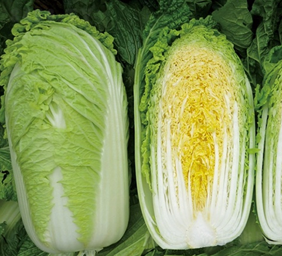 ����-�ײ˷N��-��Ļ��