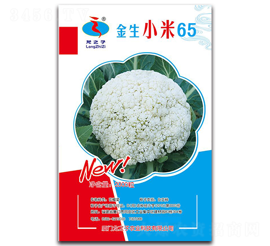 ����С��65-�ɻ��˷N��-��֮��