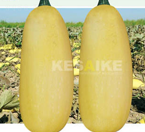 �r(n��ng)�l(f��)��̖(h��o)-�����J�N��-�wِ�w