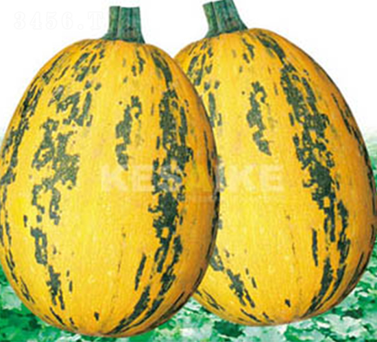 �r(n��ng)�l(f��)һ̖-�����J�N��-�wِ�w