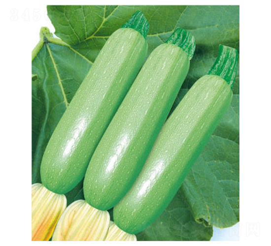 �P����̖(h��o)-�����J�N��-�wِ�w