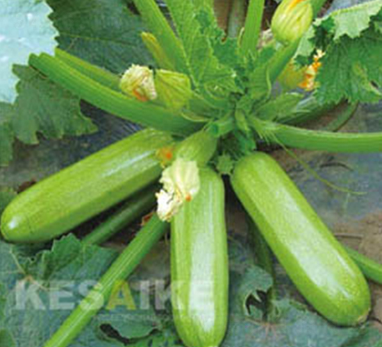 �P��(y��u)-�����J�N��-�wِ�w