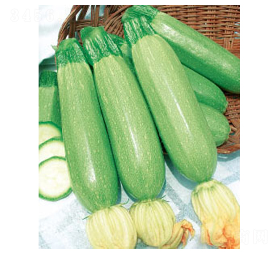 �P����̖(h��o)-�����J�N��-�wِ�w