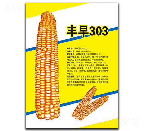 豐早303-玉米種子-豐墾種業(yè)