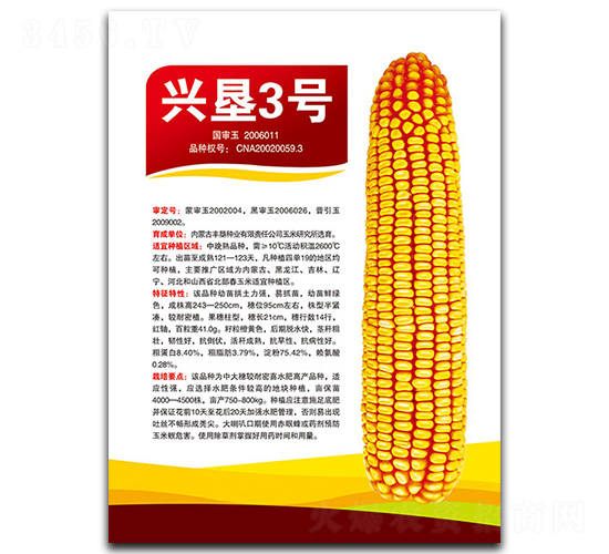 興墾3號-玉米種子-豐墾種業(yè)