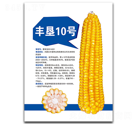 豐墾10號-玉米種子-豐墾種業(yè)