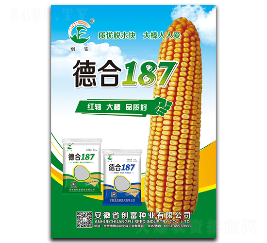 德合187-玉米種子-創(chuàng)富種業(yè)