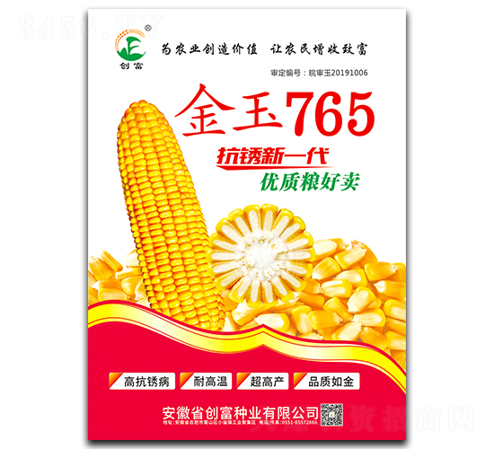 金玉765-玉米種子-創(chuàng)富種業(yè)