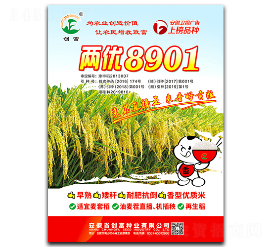 兩優(yōu)8901-水稻種子-創(chuàng)富種業(yè)