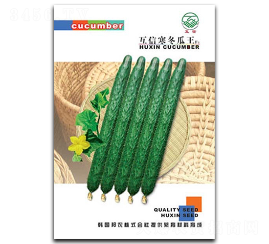 寒冬瓜王-黃瓜種子-億豪農(nóng)業(yè)