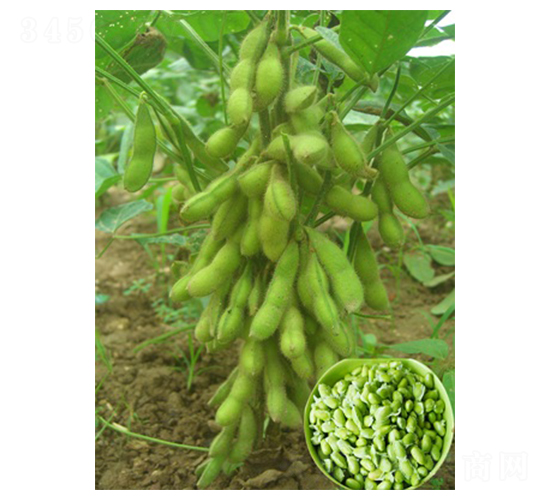 ����������-ë���N��-�|���r(n��ng)�I(y��)