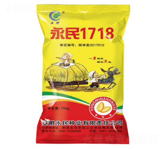 永民1718-小麥種子-永民種業(yè)
