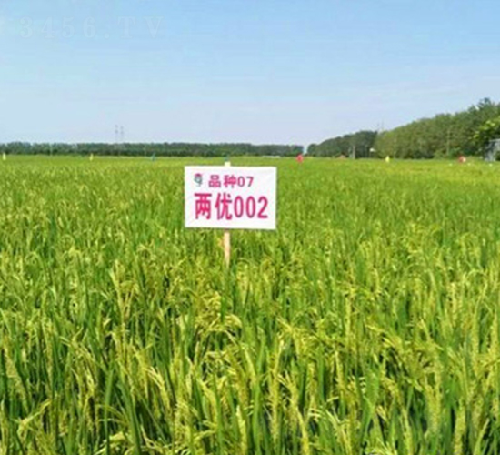 �Ƀ�(y��u)002-ˮ���N��-����N�I(y��)