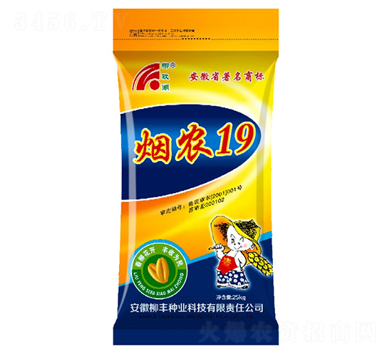 煙農19-小麥種子-柳豐種業(yè)