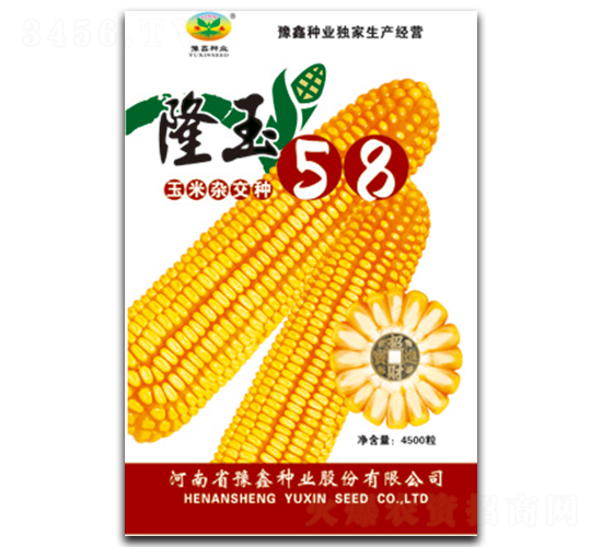 隆玉58-玉米種子-豫鑫種業(yè)