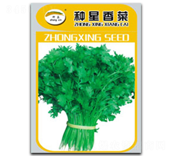 �N�����-��˷N��-�N�ǷN�I(y��)