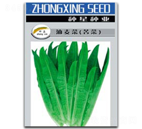 �����˷N��-�N�ǷN�I(y��)