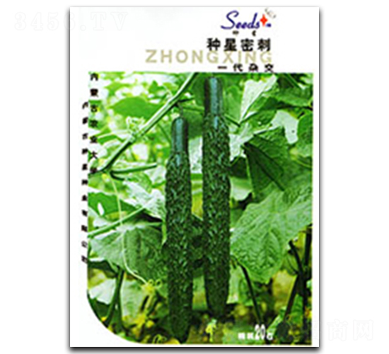 種星密刺-黃瓜種子-種星種業(yè)