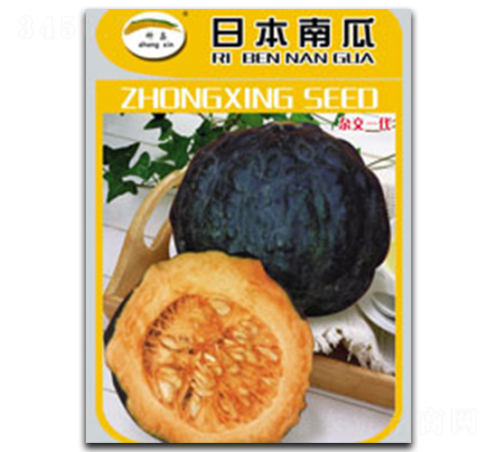 日本南瓜-南瓜種子-種星種業(yè)