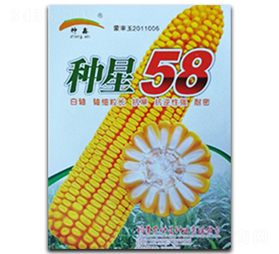 種星58-玉米種子-種星種業(yè)