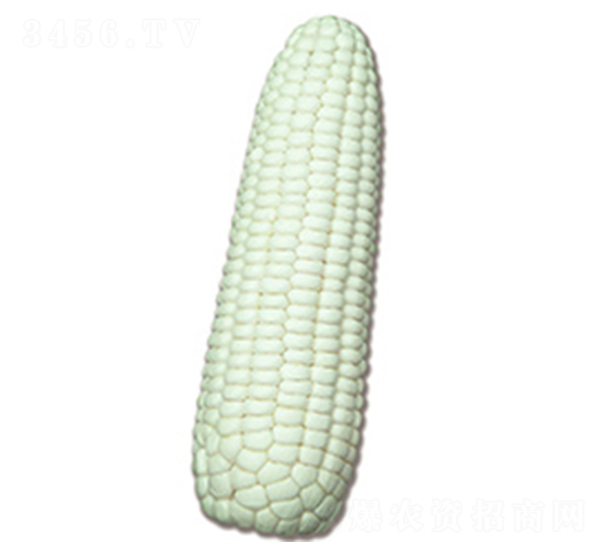 �N�ǰ�Ŵ2̖-Ŵ���׷N��-�N�ǷN�I(y��)