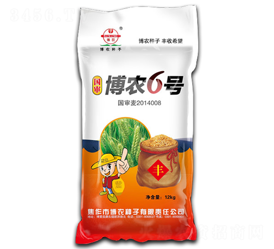 博農(nóng)6號-小麥種子-博農(nóng)
