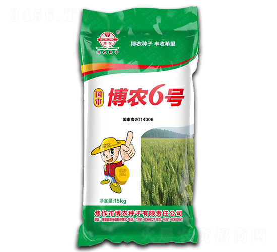 15kg博農(nóng)6號-小麥種子-博農(nóng)