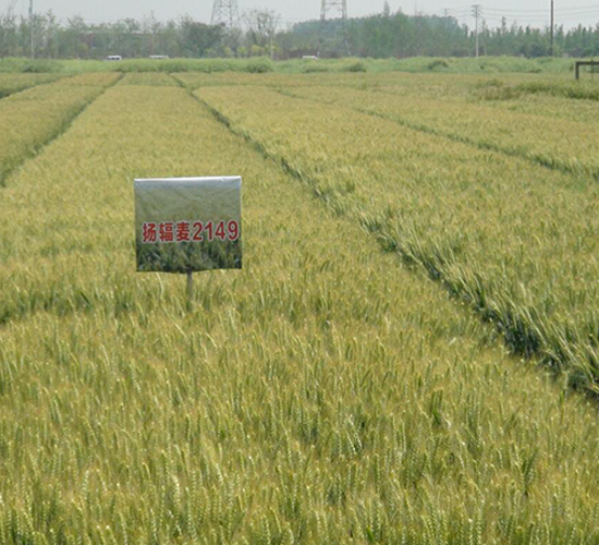 �P(y��ng)ݗ��9̖(h��o)-С���N��-������