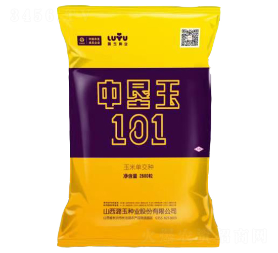 中墾玉101-玉米種子-潞玉種業(yè)