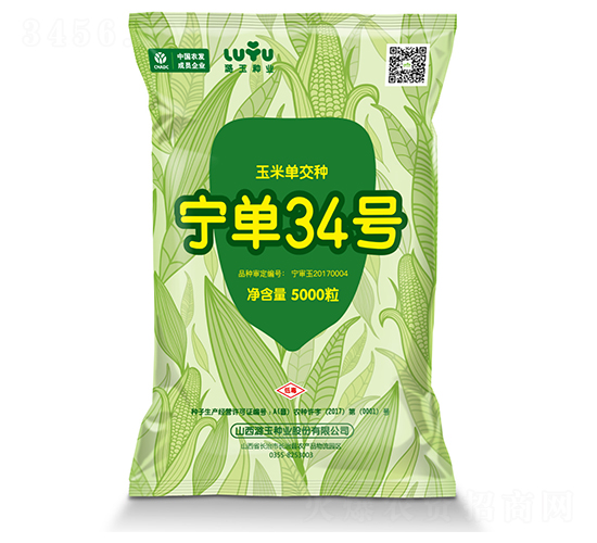 寧單34-玉米種子-潞玉種業(yè)