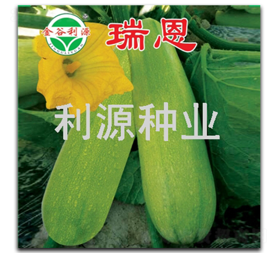 ���-�����J�N��-��Դ�N�I(y��)