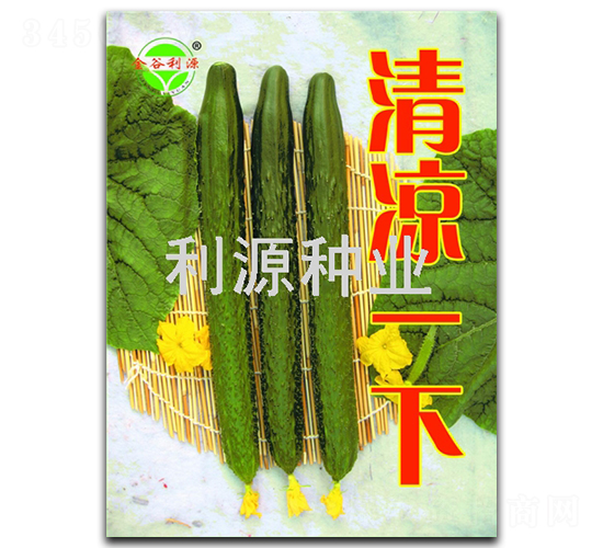 清涼一下-黃瓜種子-利源種業(yè)