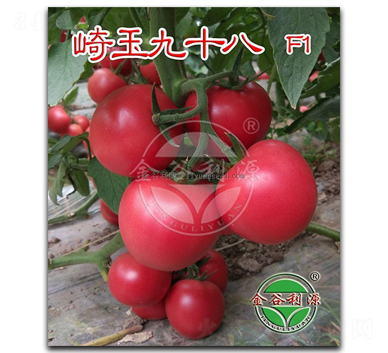 �����ʮ��-���ѷN��-��Դ�N�I(y��)