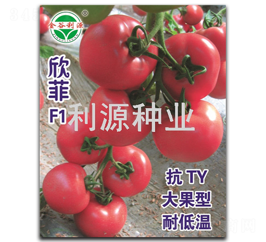 ����-���ѷN��-��Դ�N�I(y��)