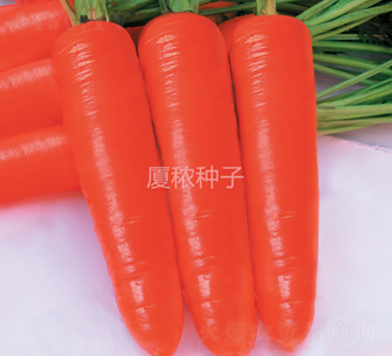 ����t-���}���N��-�B���r(n��ng)�I(y��)