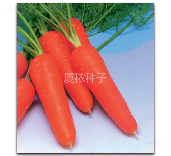 �鸣518-���}���N��-�B���r(n��ng)�I(y��)