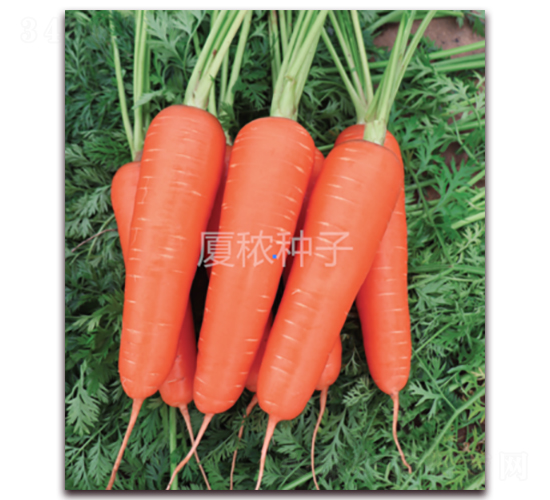 혺�-���}���N��-�B���r(n��ng)�I(y��)