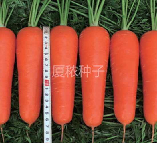 �B�t��̖(h��o)-���}���N��-�B���r(n��ng)�I(y��)