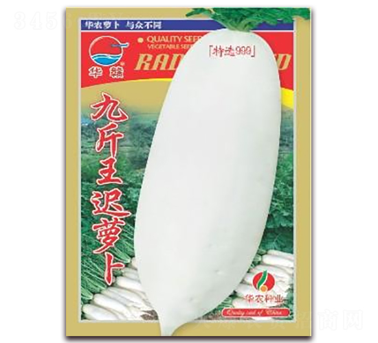 �Ž������}��-���}���N��-�A�r(n��ng)�N�I(y��)