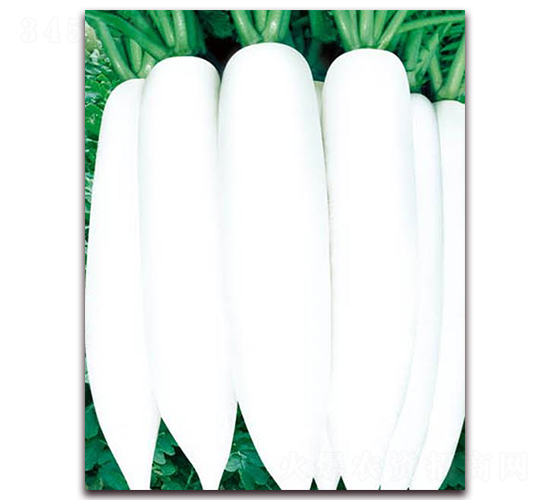 �İ����}��-���}���N��-�A�r(n��ng)�N�I(y��)